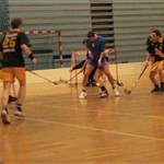 stig in action.jpg